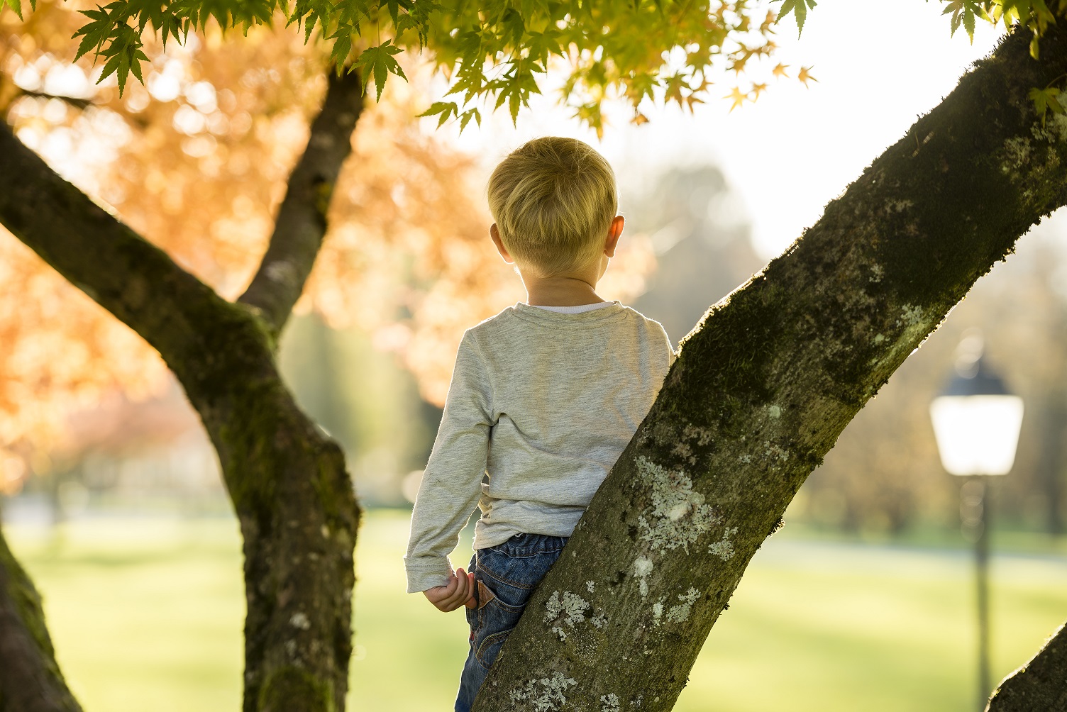 Can You Get Into Trouble for Letting Your Kid Pee in Public? | Valencia ...