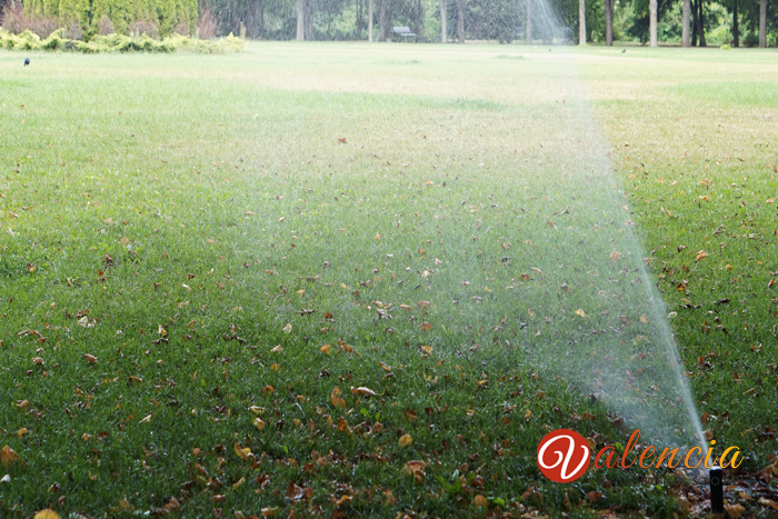 Watering your California Lawn